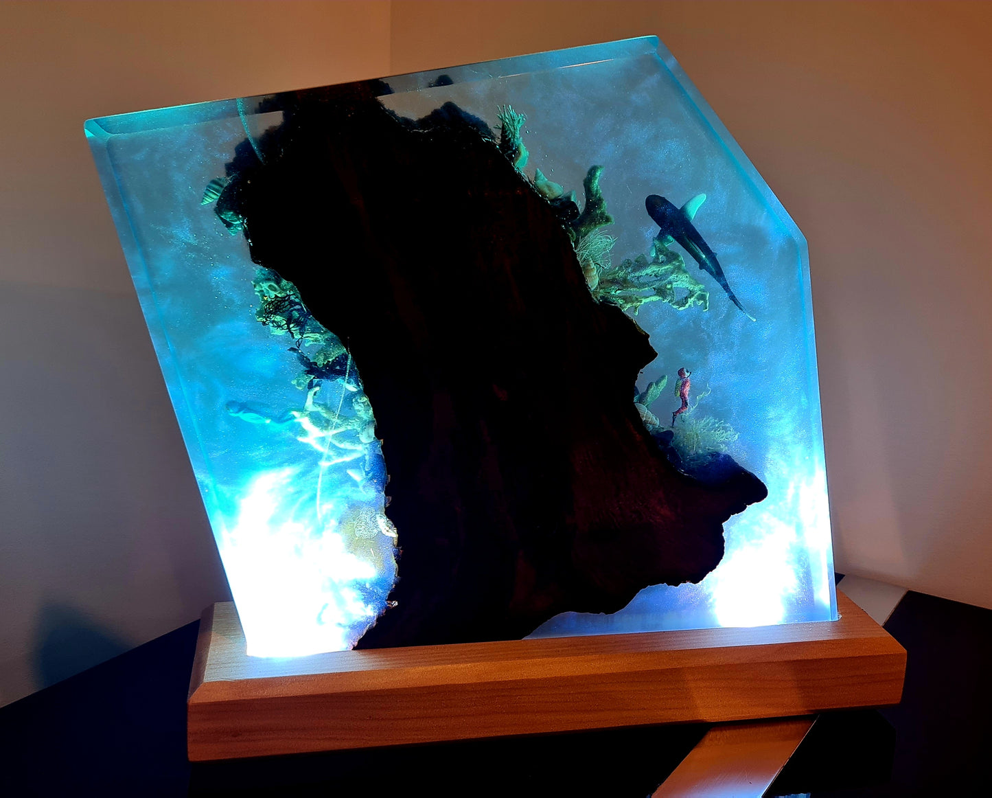 Swamp Kauri Ocean Light