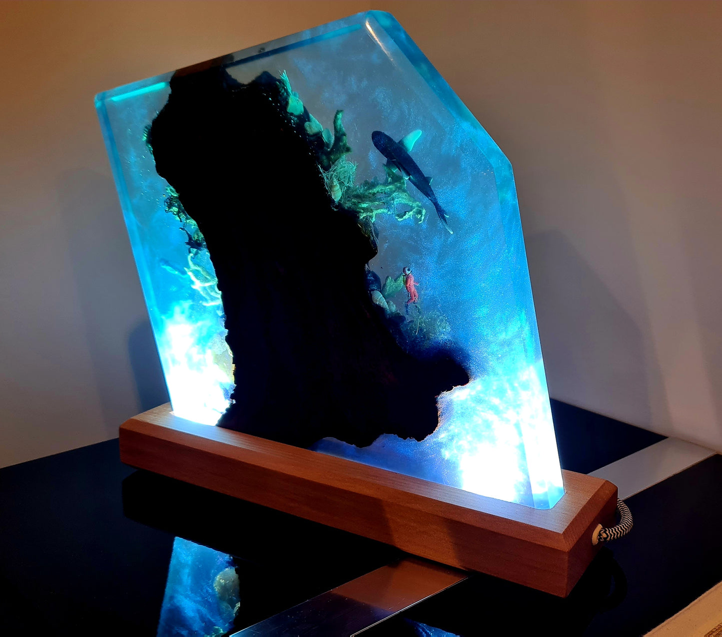 Swamp Kauri Ocean Light