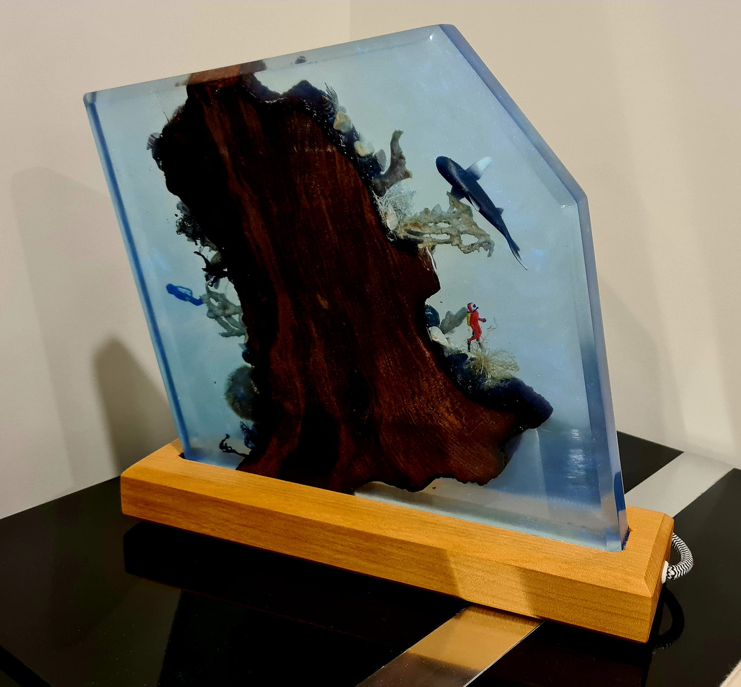 Swamp Kauri Ocean Light