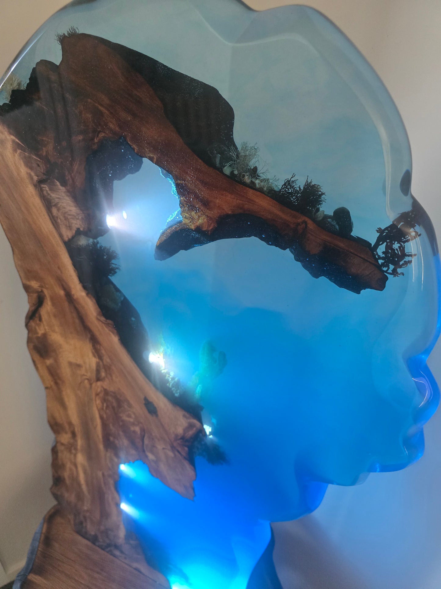 Resin Epoxy Light