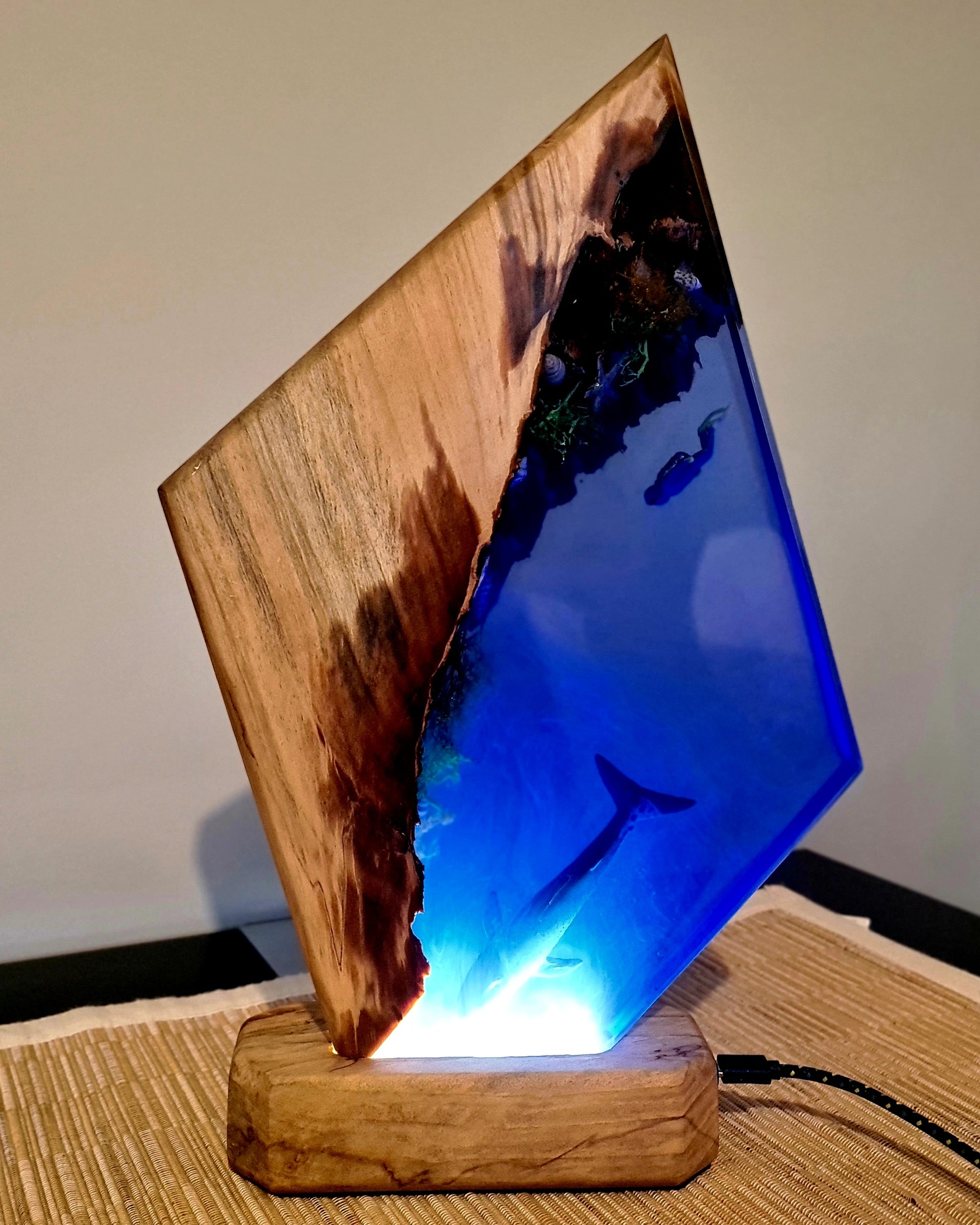 Resin light