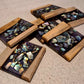 Paua Coasters