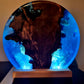 Swamp Kauri Ocean Light